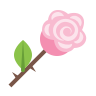 decoration