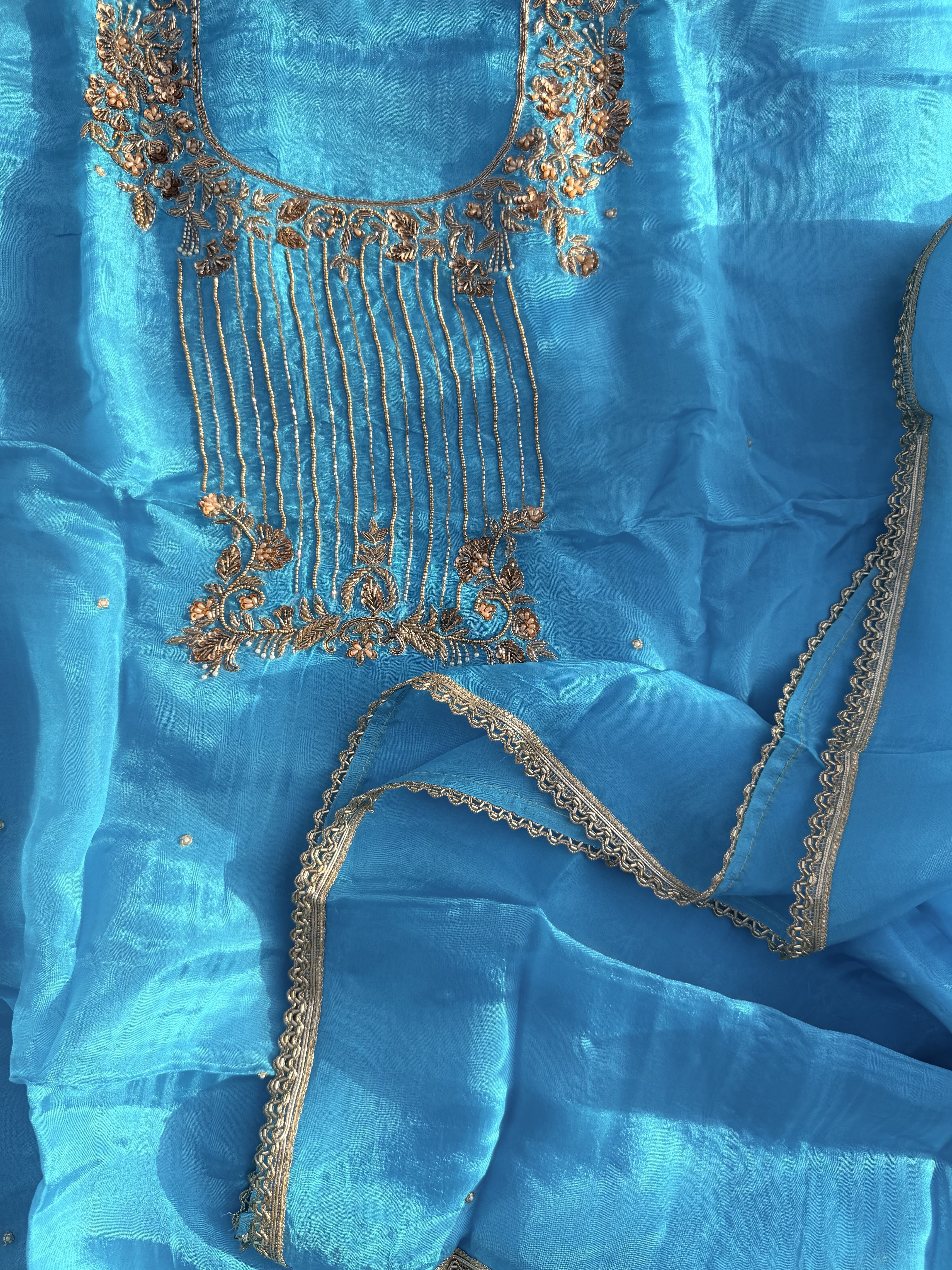 Sky Blue Hand Embroidered Organza Suit