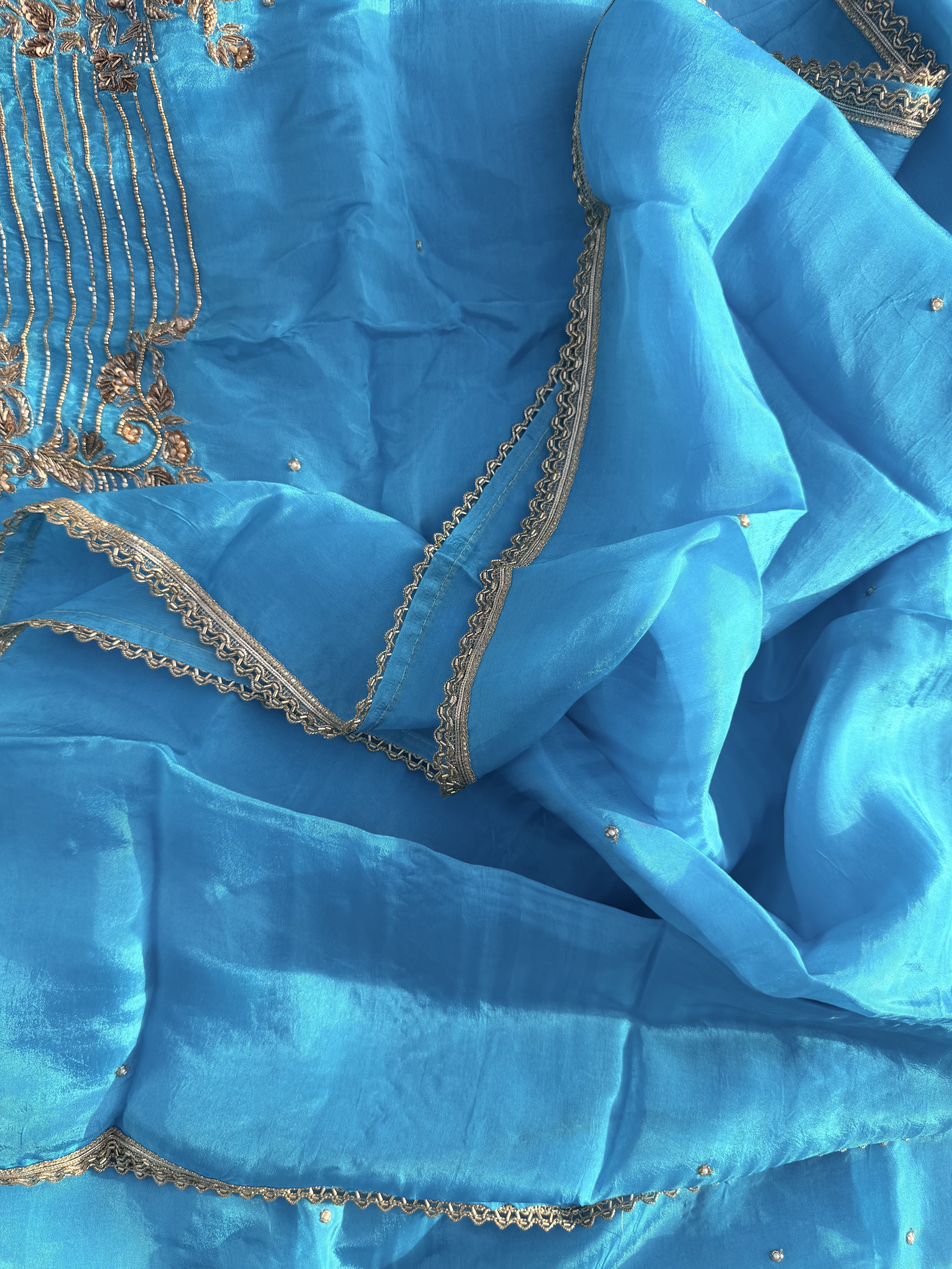 Sky Blue Hand Embroidered Organza Suit
