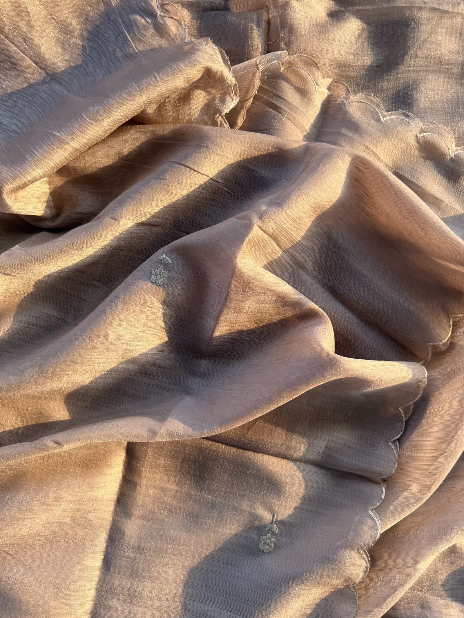 Pitta Special (rich color palette)